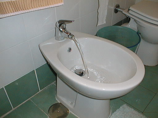 bidet